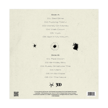 Load image into Gallery viewer, UY SCUTI VINYL (ALTERNATE COVER 2)